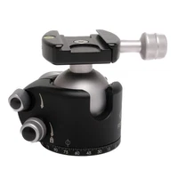 Really Right Stuff BH-55 Classic (8+)