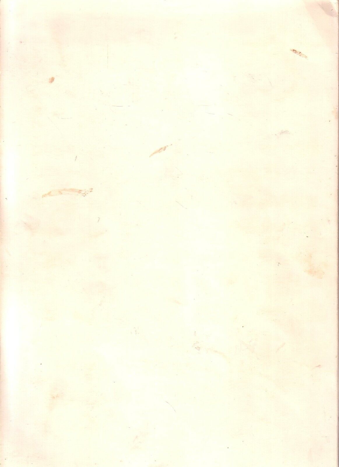 Foto 2 di 12