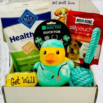 Quack-tastic Recovery: Get Well Soon Dog Gift Box, Gift for Dog, Feel Better Dog