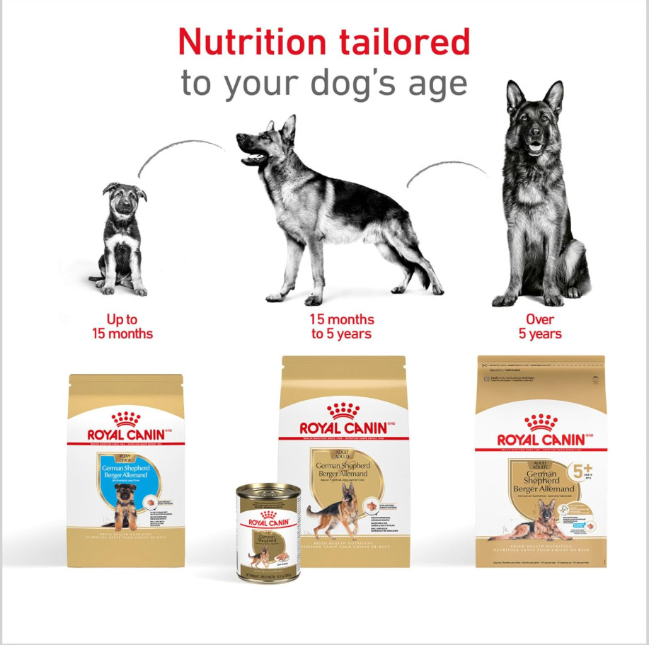 Royal Canin Breed Health Nutrition German Shepherd Adult Dry Dog Food, 30-lb bag
