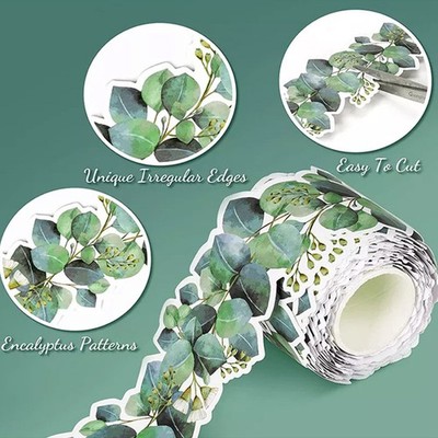 Display Board Eucalyptus Border - Backing Paper for Wall Displays School OY