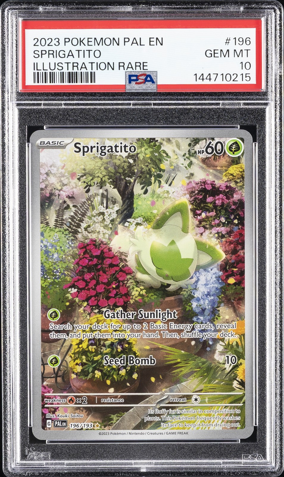 2023 POKEMON PAL EN-PALDEA EVOLVED ILLUSTRATION RARE #196 SPRIGATITO PSA 10