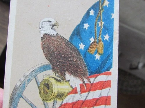 Civil War 8th Wisconsin Inf. mascot "Old Abe" on Confederate cannon litho cdv