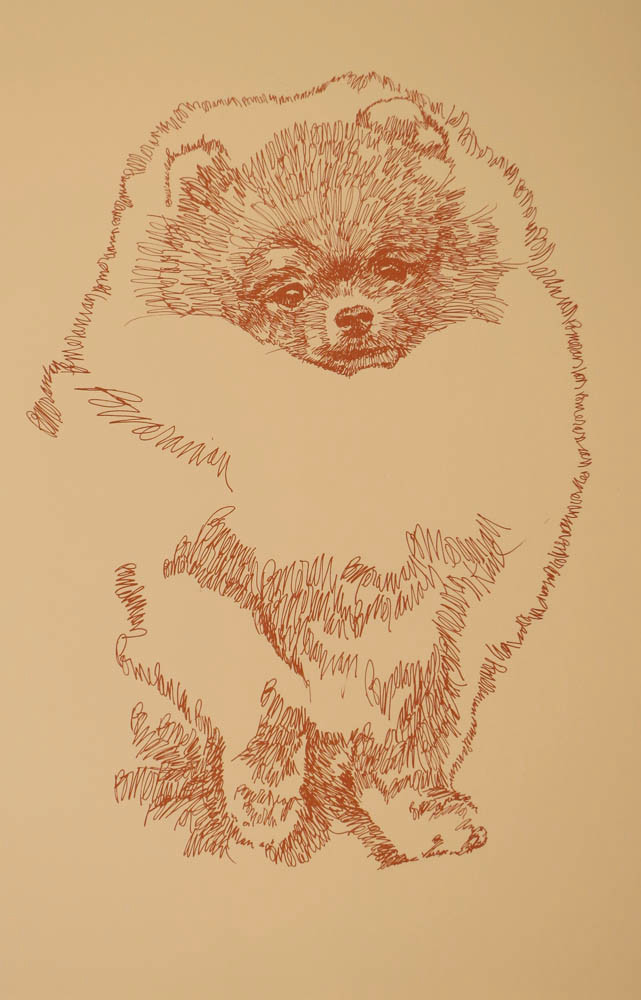 Picture 4 of 12