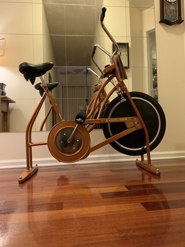 Very Rare Vintage Schwinn Exerciser 