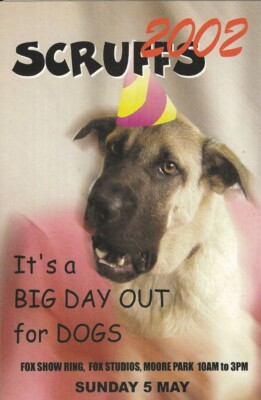 V06560 Australia Avant Card #6560 Scruffs Dogs Big Day Out postcard