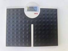 Seca 813 - High Capacity Digital Flat Scale for Individual Patient use
