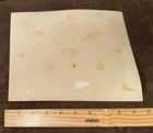 Antique Group Portrait Original Photo 7-3/4”x9-3/4” Make Up A Story — photo 4