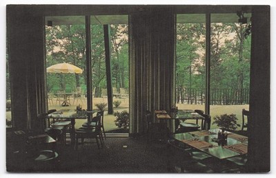 Rough River State Park KY Lodge Dining Room Terrace Lake View Postcard Dexter