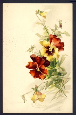 GRAFIK AK Illustration Litho signiert C. KLEIN BLUMEN FLOWERS BLUMEN