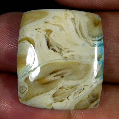 Natural Palm Root Agate Cushion Cabochon 18.40Cts. Reiki Healing Loose Gemstone