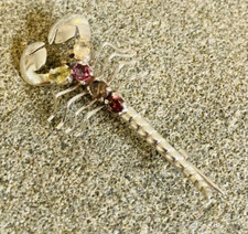 Art Deco Solid Silver Scorpion Brooch Pin 📌