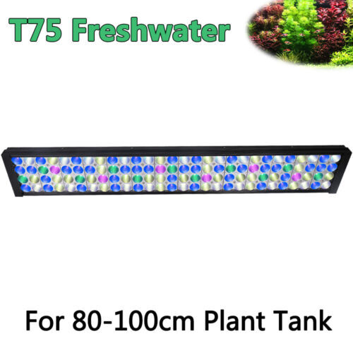 For Shipping Uniheat 40-Hour Shipping Warmers - 120 Fresh For Live