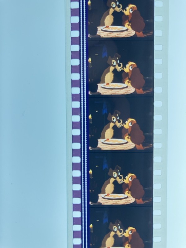 35mm Short Film Oscar Winner Precious Images Updated 1996 Version 7min. plus