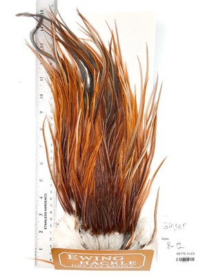 Ewing Hackle - Dry Fly Saddle - Ginger #767