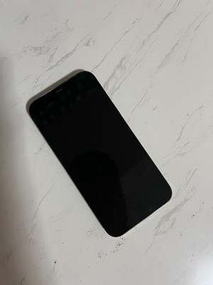 Apple iPhone 12 Pro Max - 256 GB - Graphite (Unlocked)