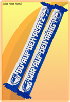 Schal Fanschal 1. Fc Magdeburg Wendeschal Du Auf Dem Platz, Wir Gr. 16X130Cm Neu
