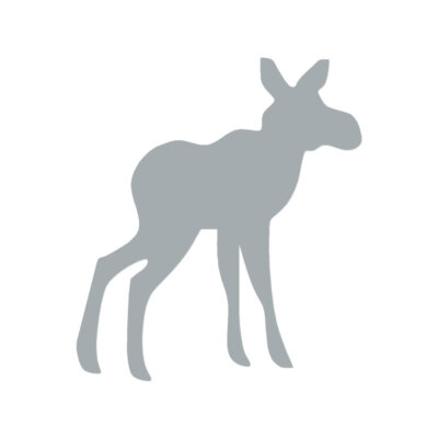 Baby Moose - Vinyl Decal Sticker - Multiple Color & Sizes - ebn82