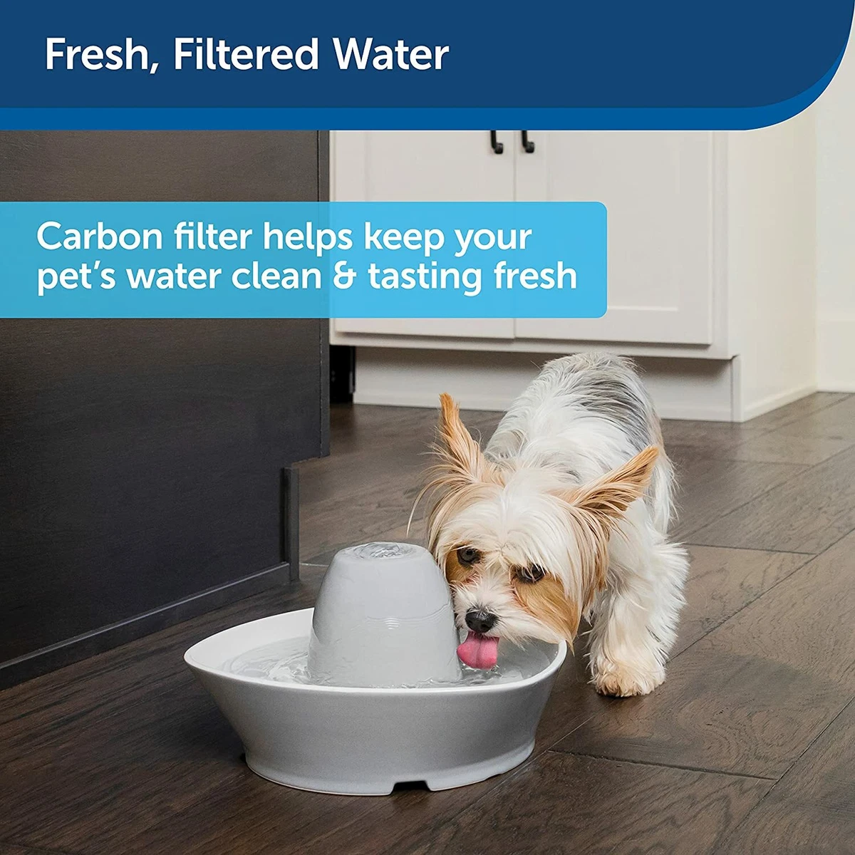 Drinkwell top water filters