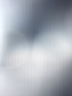 Bild 7 von 8