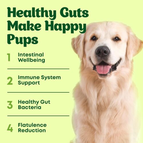 Dog Probiotic Chews Gut Health & Digestive Function Support Anti Diarrhea 120 pc - Picture 2 of 7