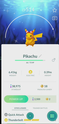 Pokemon Shiny May's Bow Pikachu Sapphire Background Road to Kalos PTCs Trade Go