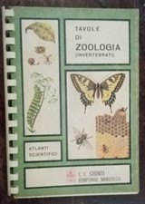 TAVOLE DI ZOOLOGIA INVERTEBRATI - ATLANTI SCIENTIFICI - GIUNTI  1968      R
