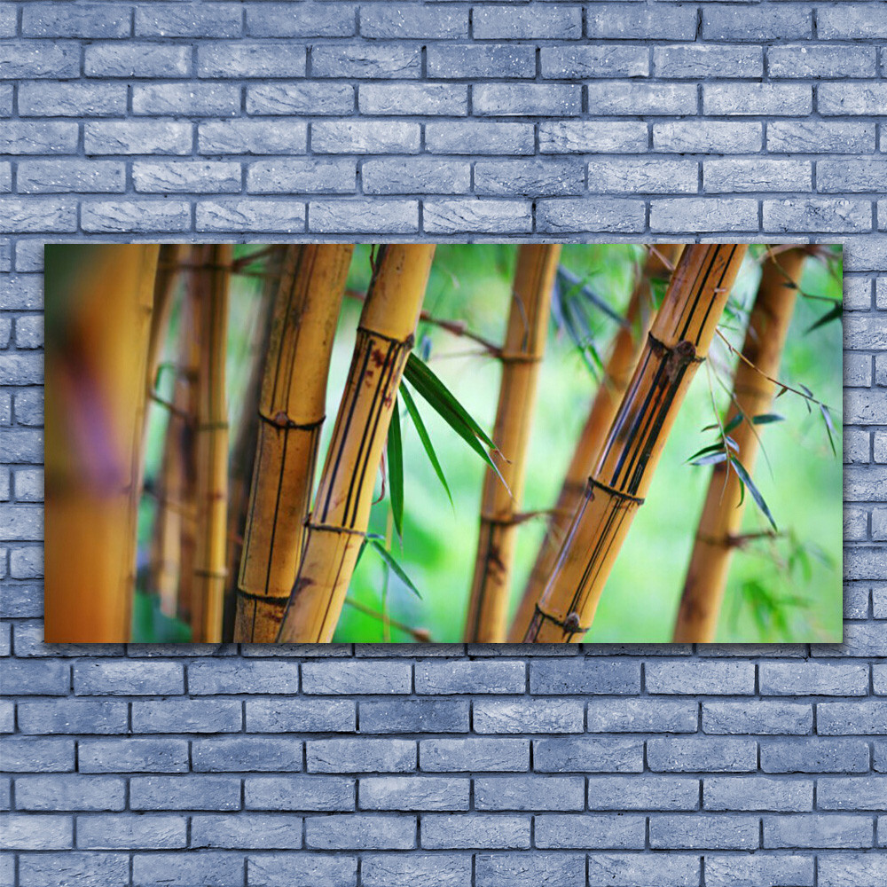 Image sur toile nature bambou 140x70 pour masquer un mur vide
