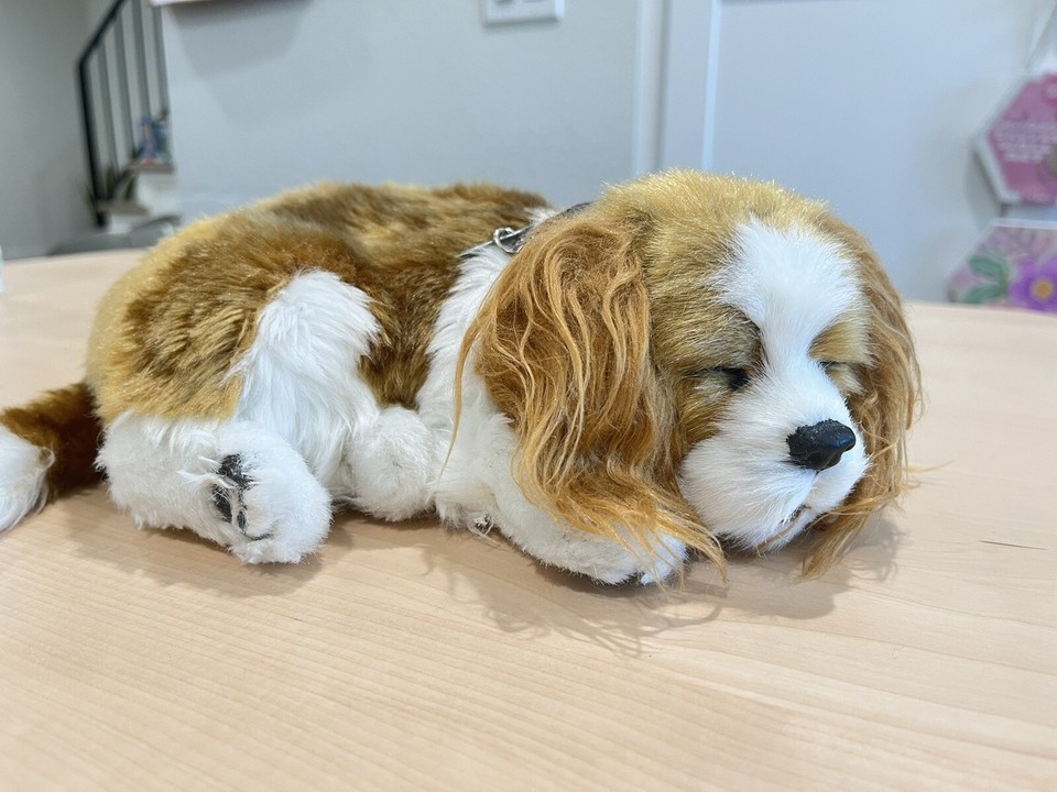 Perfect Petzzz Cavalier King Charles - Cachorro de Pelúcia que Respira - Melhor Loja de