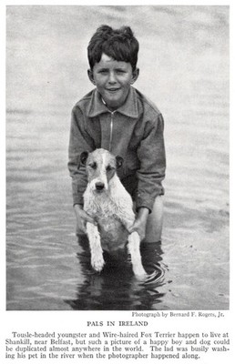 Wire Fox Terrier ''Bath'' - CUSTOM MATTED - 1936 Dog Art ''Photo Print''