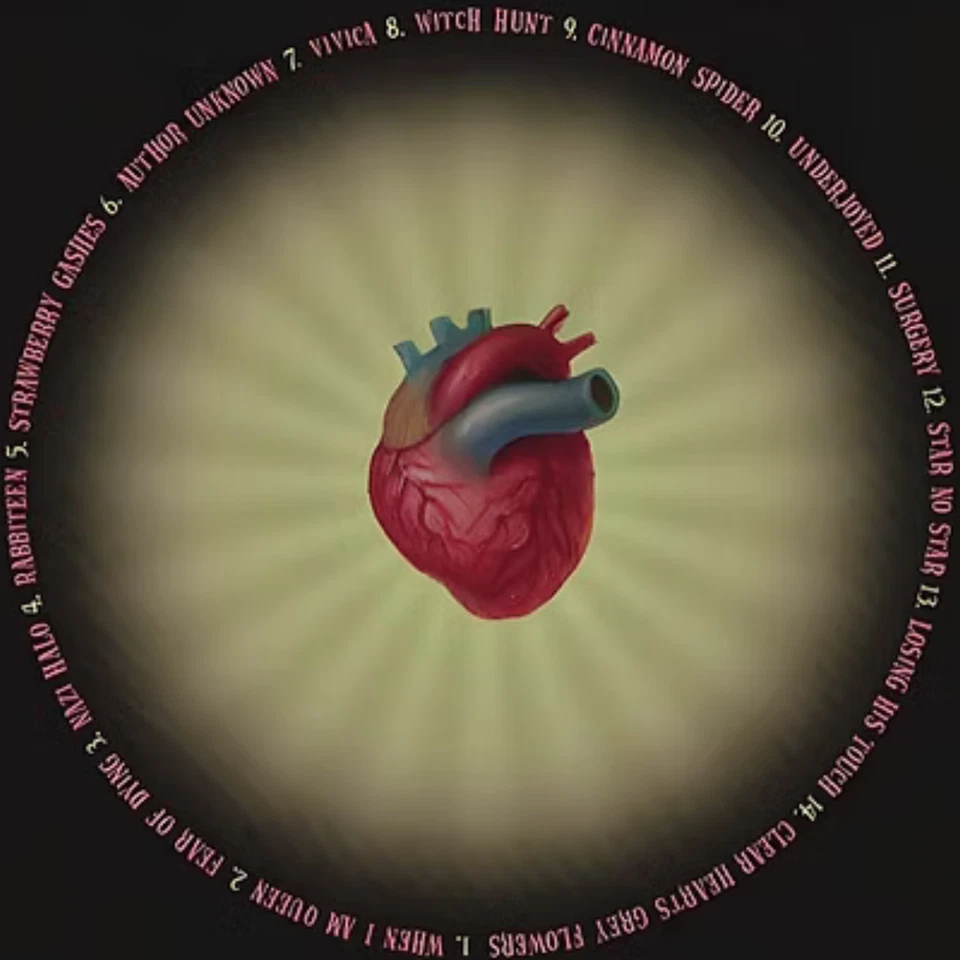 JACK OFF JILL Clear Hearts Grey Flowers 2024 Coloured Vinyl Import New & Sealed - Image 3 of 3