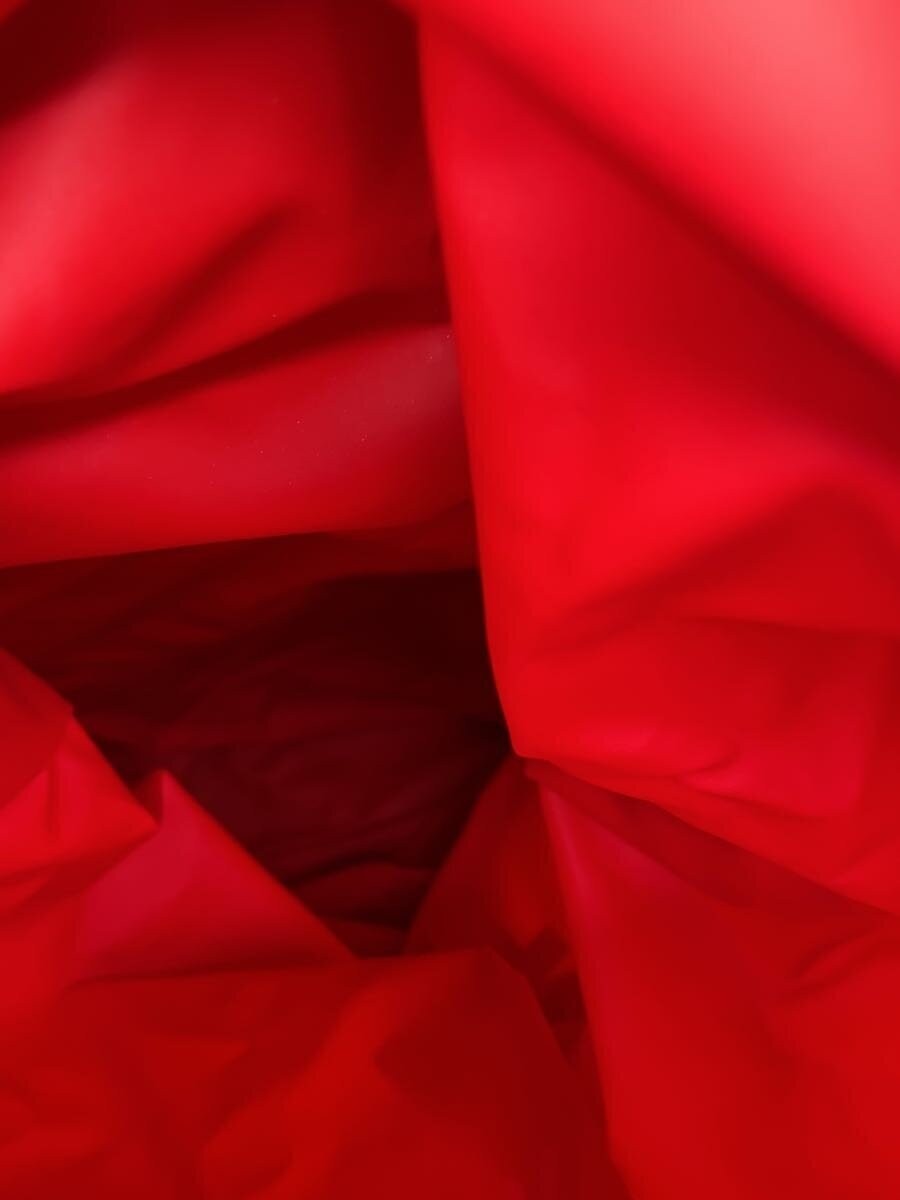 ZERO POINT Backpack - RED Japan - image 7