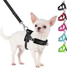 No Pull Small Dog Harness and Leash Set, Puppy Soft Vest Harness