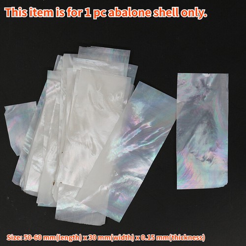 Sample Shell Blank 1 PC White Natural Abalone Shell DIY Material Seashell Blanks Crafts ...