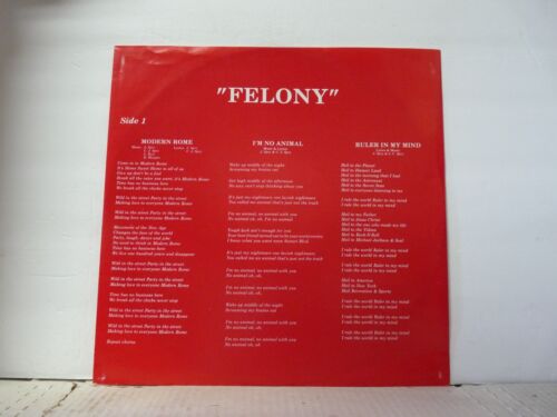 NM VERBRECHEN "The Vigilante" LP VON 1985 1. PRESSE KOMBINIERTES VERSAND USA O - Bild 3 von 3