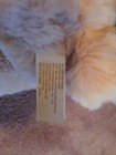 18” Teddy Bears Love You to the Moon and Back (NEW) — photo 5