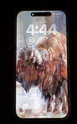 Apple iPhone 14 Pro  1TBBlack Bar Smartphone Wi-Fi Bluetooth iOS 