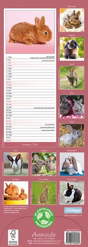 Rabbits Slim 2026 Calendar | Slimline Gift 15% OFF MULTI ORDERS - Picture 3 of 8