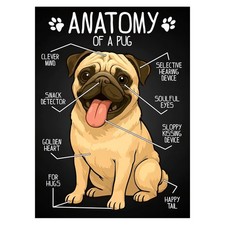 Pug Anatomy Humorous Poster Playful Wall Art Pet Lovers Decor