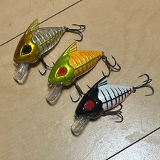 Waterland Skeleton C Grander Musashi