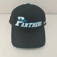 Vintage Pro Line Puma Carolina Panthers NFL Fastener Back Hat Cap