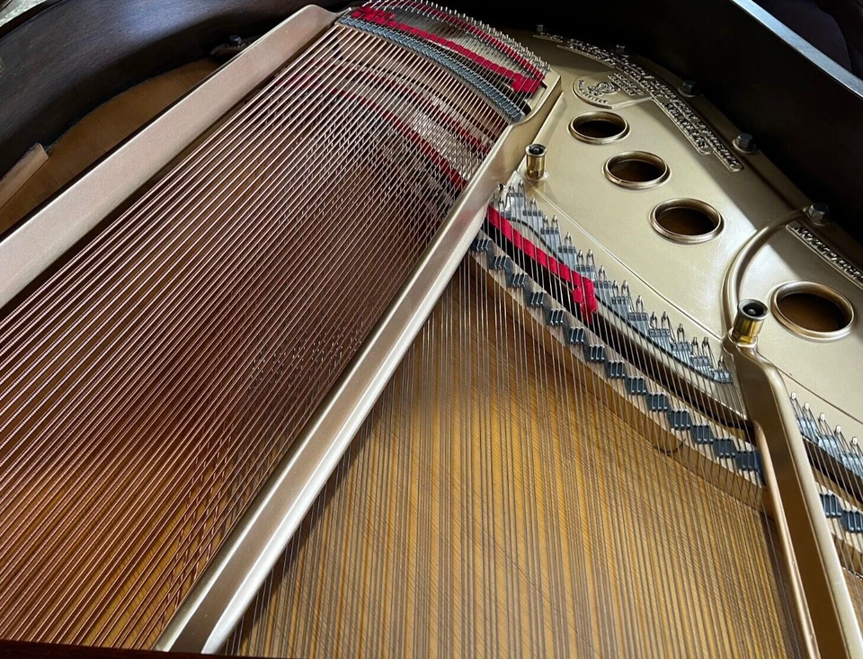 Piano de cola Steinway modelo M 1933 5'7" caoba - sala de exposición perfecta Foto 3 de 4