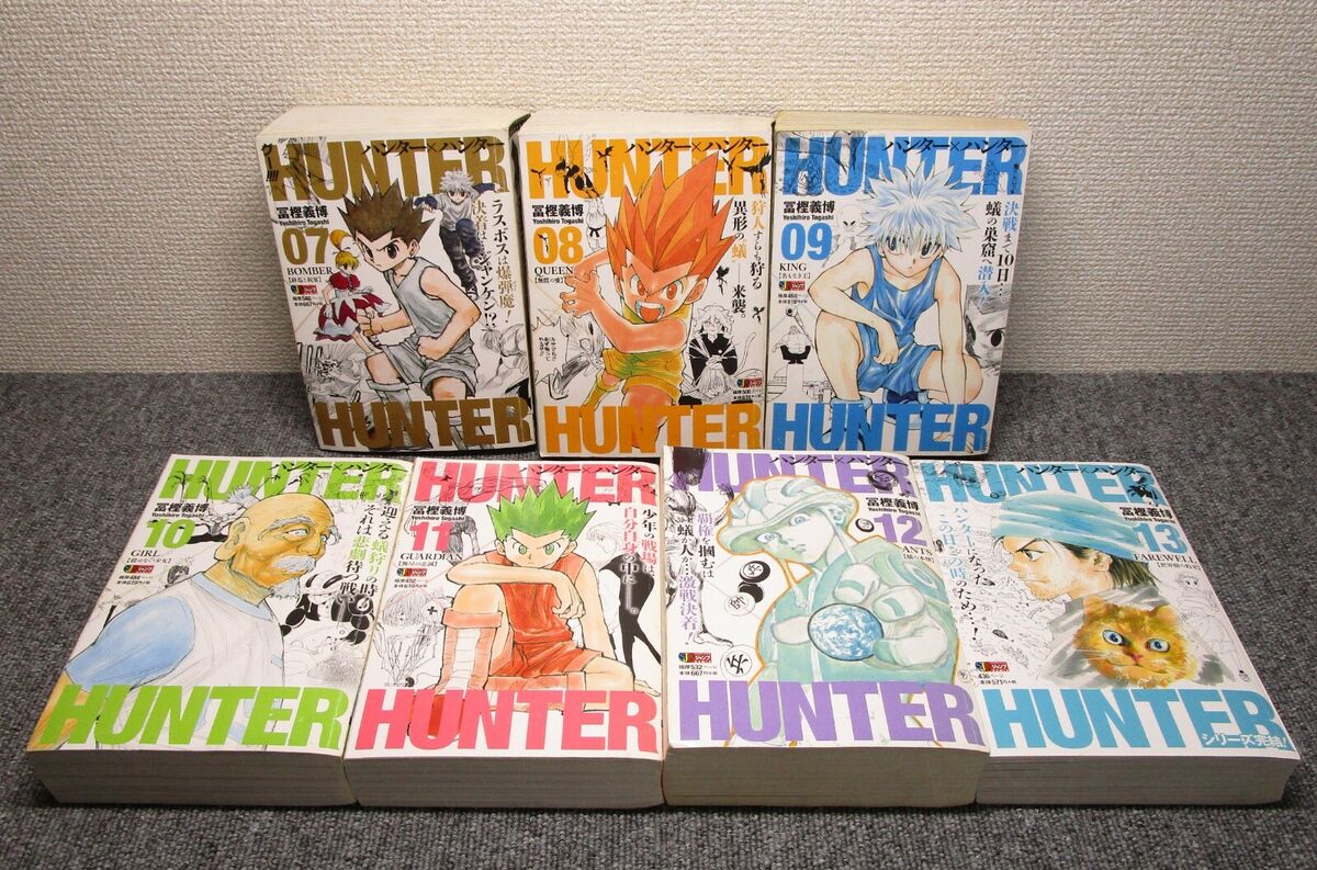 Hunter X Hunter: Volume 1 (Episodes 1-13) (DVD, Viz Media, Shonen Jump  Manga) 782009244493