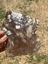 Wild Horse Slab