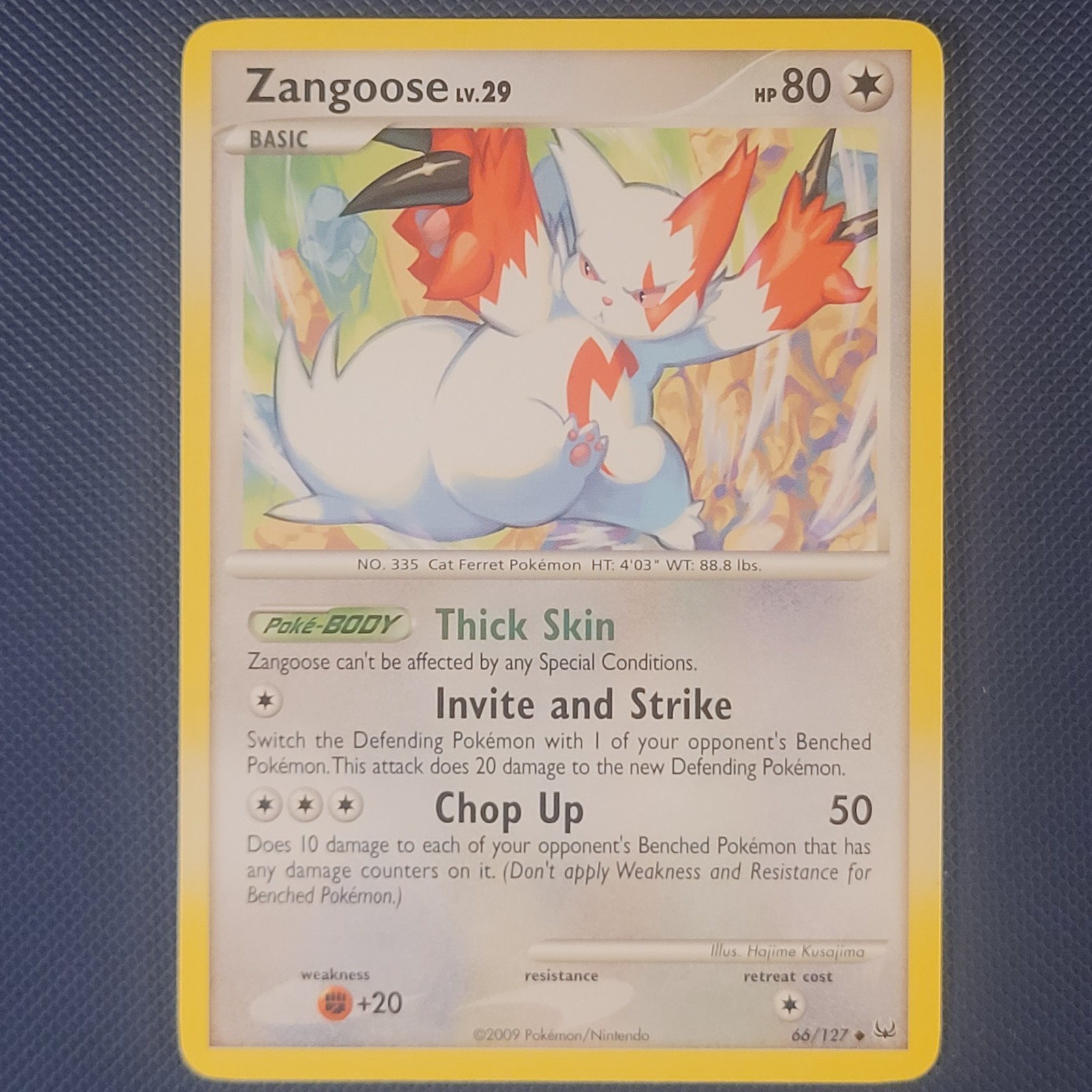 Zangoose 66/127 - Platinum Base - Uncommon Pokemon Card - M / NM