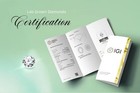 Round Cut 3.20 Ct IGI Certified Lab Grown Diamond Band 950 Platinum Ring EF/VVS2 — photo 8