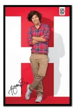88433 One Direction Harry Solo Ready To Hang Choice Decor Wall Print Poster