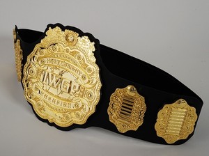 imaginext lion castle