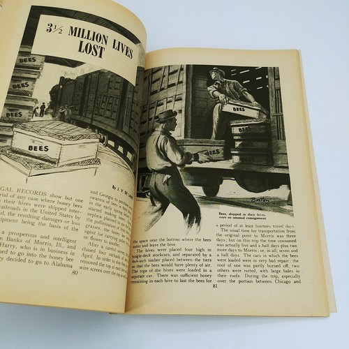 Revista Ferroviaria Junio 1950 Vol. 52 Nº 1"- LEER - Imagen 15 de 22