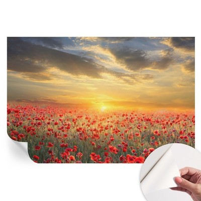 Stick on Wallpaper A Field Of Poppies In The Morning, A Stunning Sunset